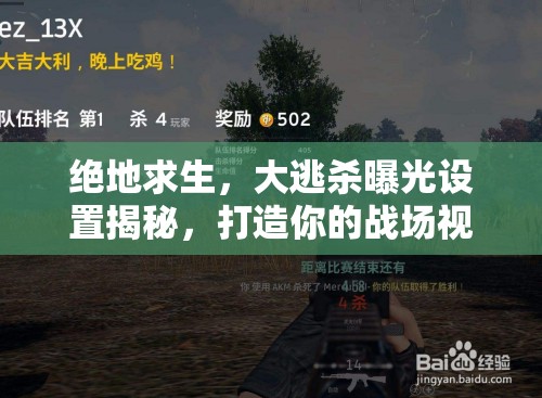 絕地求生，大逃殺曝光設(shè)置揭秘，打造你的戰(zhàn)場視覺盛宴