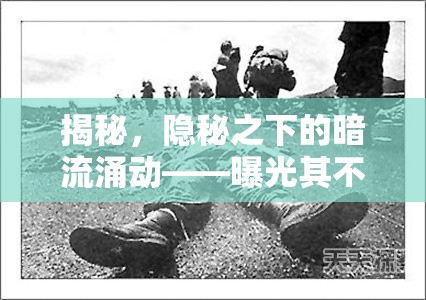 揭秘，隱秘之下的暗流涌動——曝光其不可忽視的危害