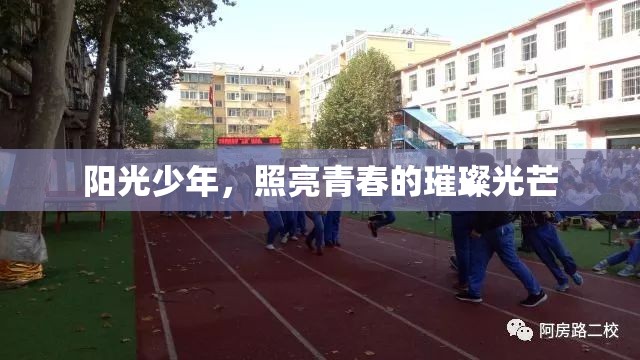 陽光少年，照亮青春的璀璨光芒