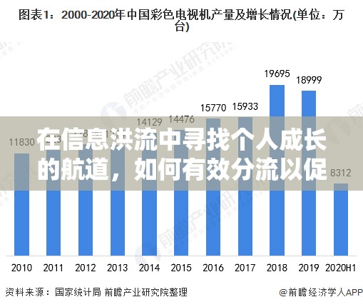 在信息洪流中尋找個人成長的航道，如何有效分流以促進(jìn)自我發(fā)展