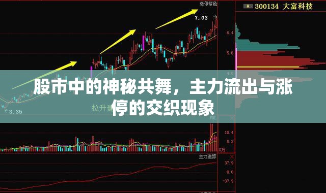 股市中的神秘共舞，主力流出與漲停的交織現(xiàn)象