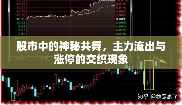 股市中的神秘共舞，主力流出與漲停的交織現(xiàn)象