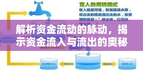 解析資金流動的脈動，揭示資金流入與流出的奧秘