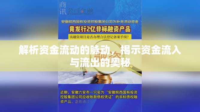 解析資金流動的脈動，揭示資金流入與流出的奧秘