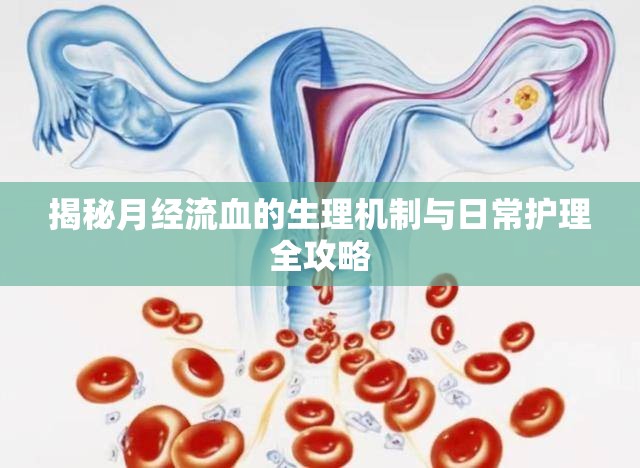 揭秘月經(jīng)流血的生理機(jī)制與日常護(hù)理全攻略