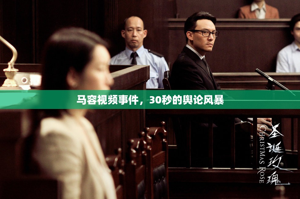 馬容視頻事件，30秒的輿論風暴