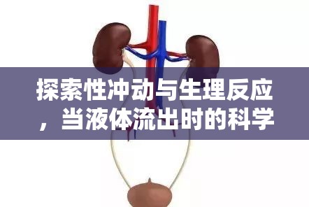 探索性沖動與生理反應(yīng)，當液體流出時的科學理解