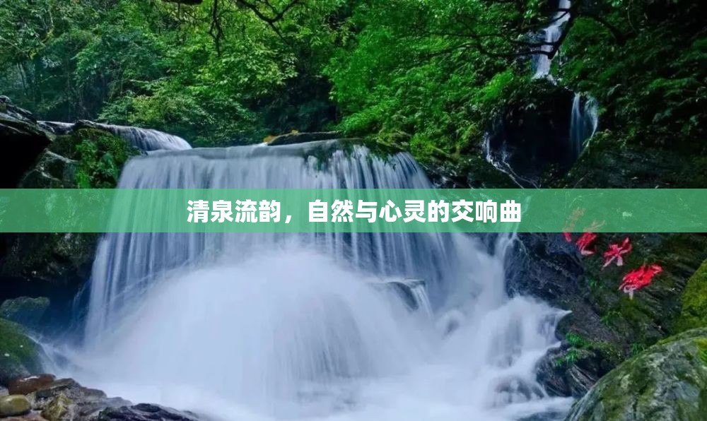 清泉流韻，自然與心靈的交響曲