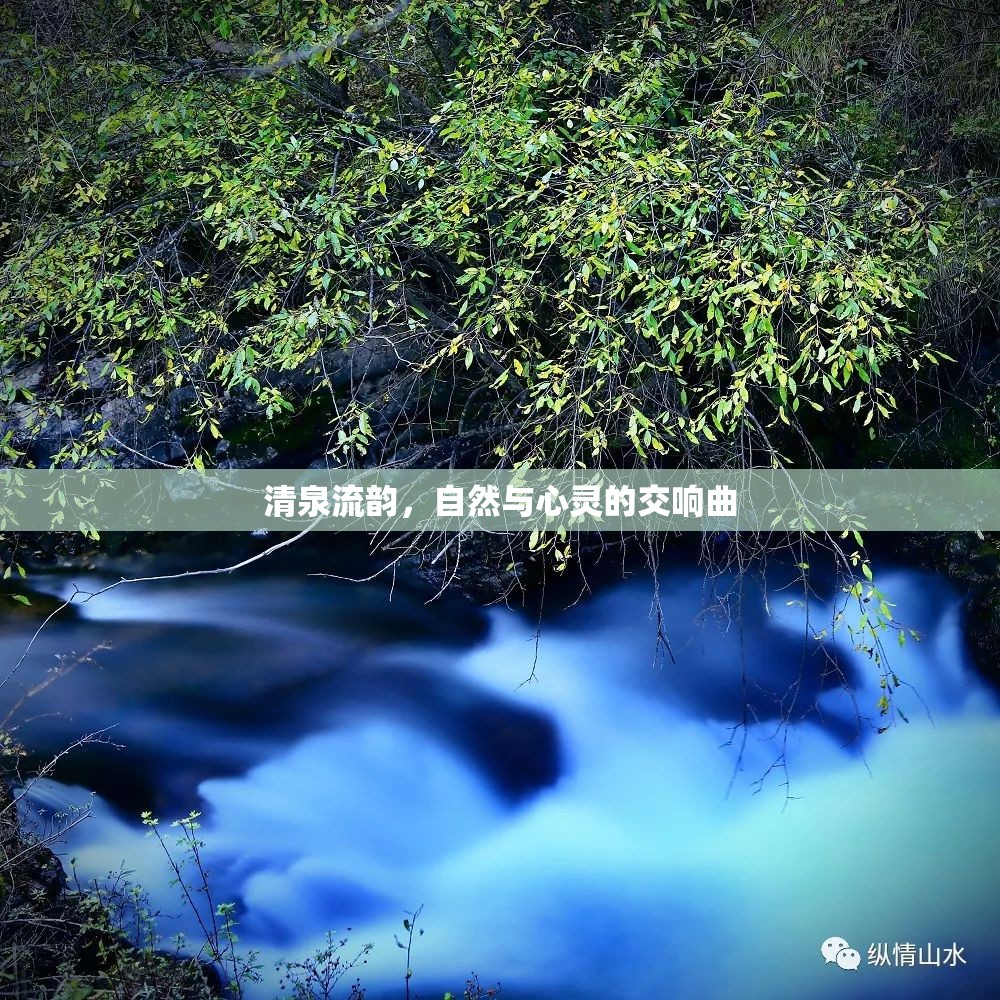 清泉流韻，自然與心靈的交響曲