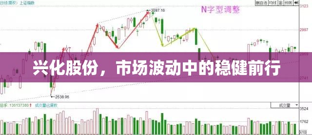 興化股份，市場(chǎng)波動(dòng)中的穩(wěn)健前行