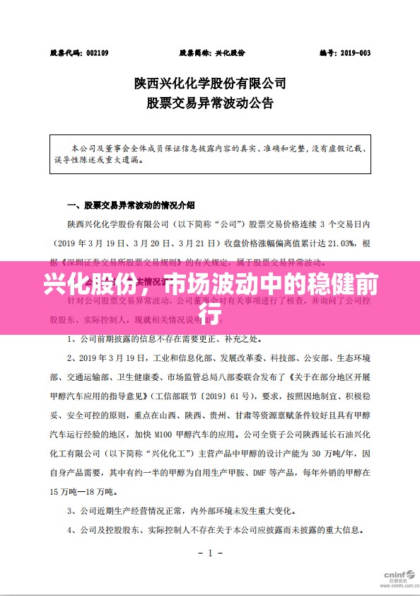 興化股份，市場(chǎng)波動(dòng)中的穩(wěn)健前行