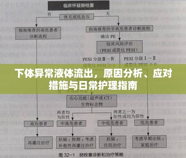 下體異常液體流出，原因分析、應(yīng)對措施與日常護理指南