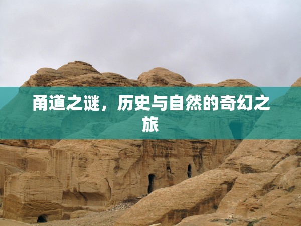甬道之謎，歷史與自然的奇幻之旅