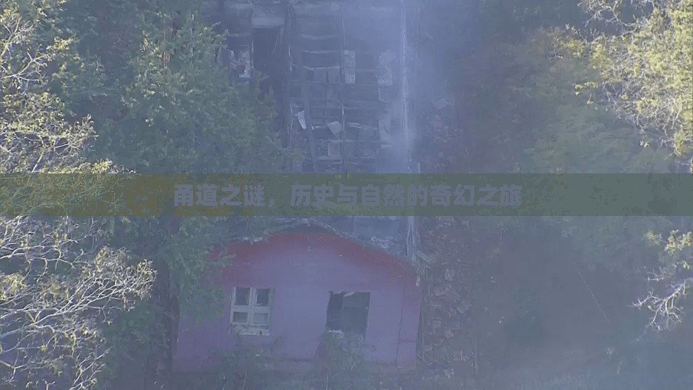 甬道之謎，歷史與自然的奇幻之旅