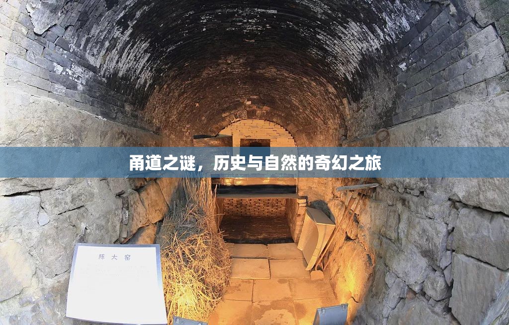 甬道之謎，歷史與自然的奇幻之旅