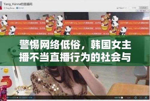 警惕網(wǎng)絡低俗，韓國女主播不當直播行為的社會與法律風險
