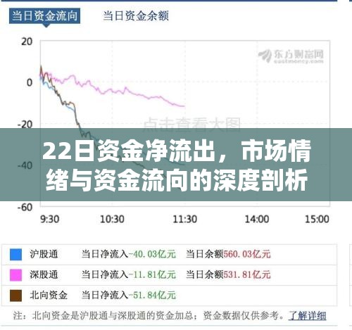 22日資金凈流出，市場情緒與資金流向的深度剖析