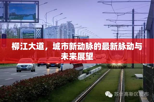 柳江大道，城市新動(dòng)脈的最新脈動(dòng)與未來(lái)展望