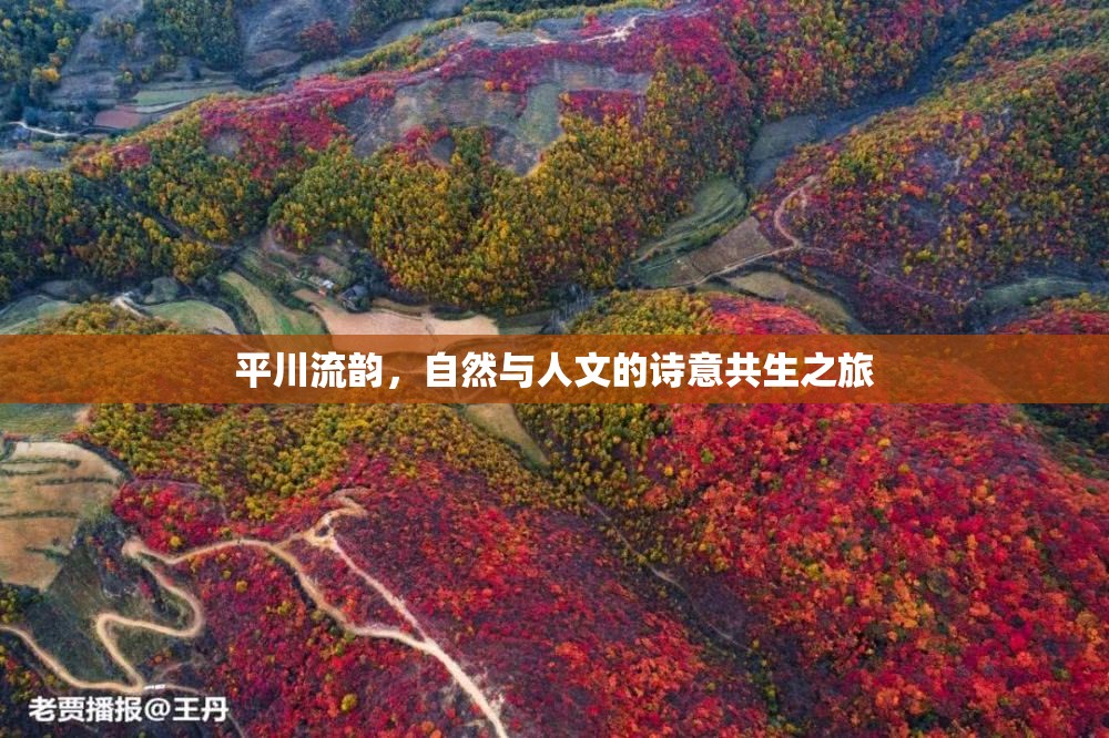 平川流韻，自然與人文的詩意共生之旅