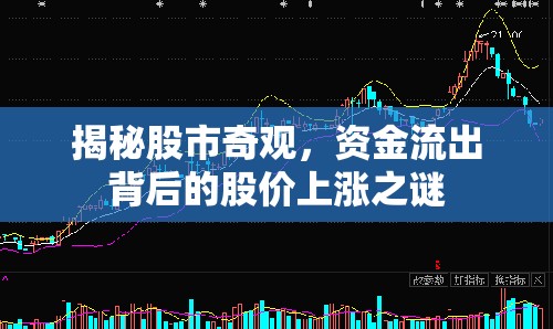 揭秘股市奇觀，資金流出背后的股價上漲之謎