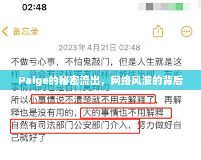 Paige的秘密流出，網(wǎng)絡(luò)風(fēng)波的背后