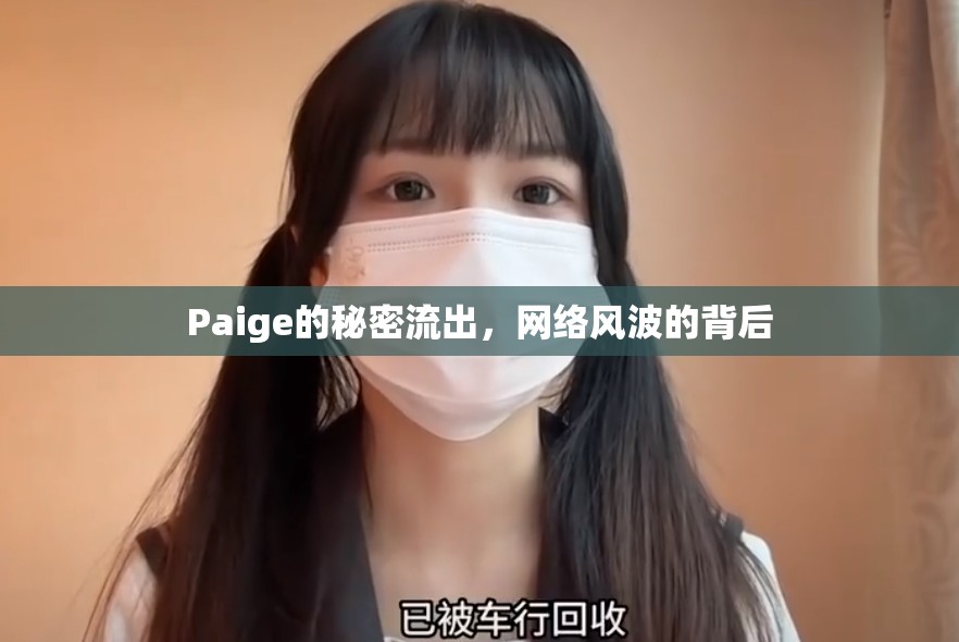 Paige的秘密流出，網(wǎng)絡(luò)風(fēng)波的背后