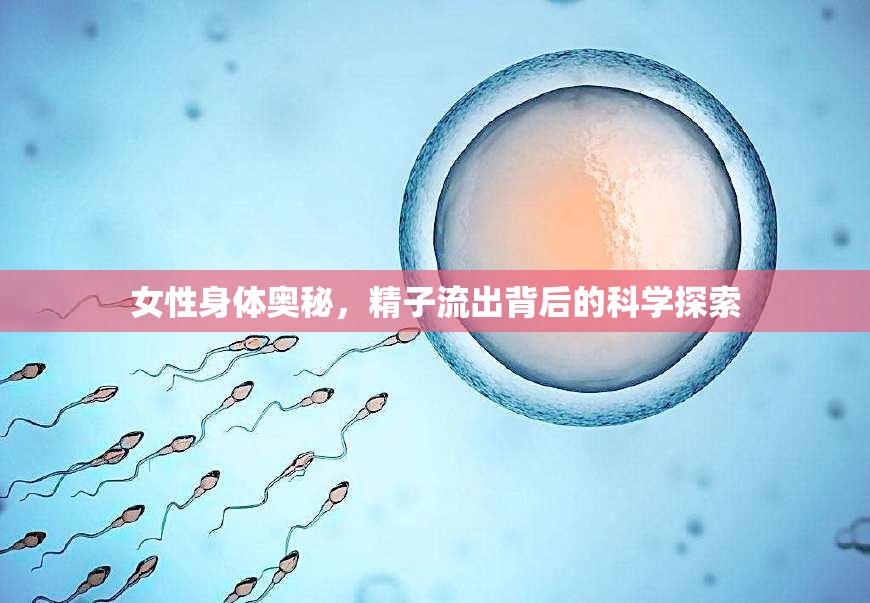 女性身體奧秘，精子流出背后的科學(xué)探索