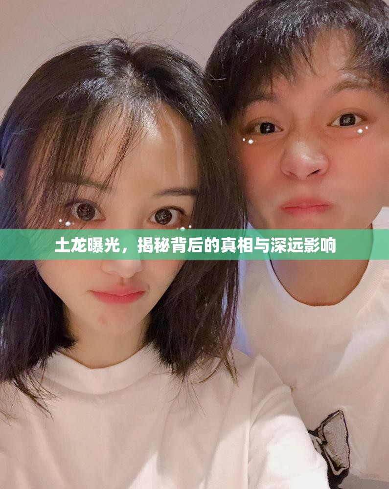 土龍曝光，揭秘背后的真相與深遠(yuǎn)影響