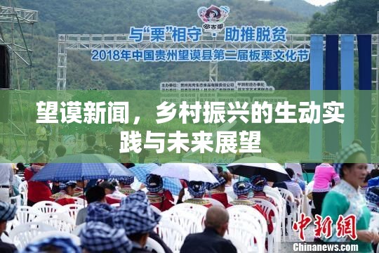 望謨新聞，鄉(xiāng)村振興的生動(dòng)實(shí)踐與未來展望