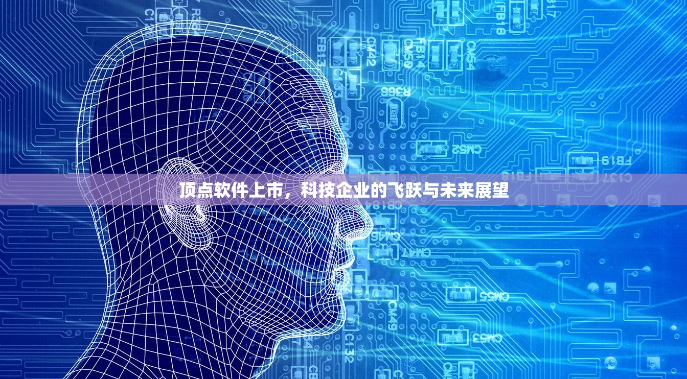 頂點軟件上市，科技企業(yè)的飛躍與未來展望