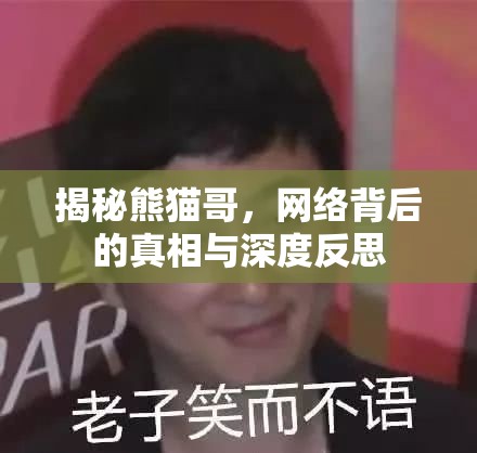 揭秘熊貓哥，網(wǎng)絡(luò)背后的真相與深度反思