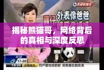 揭秘熊貓哥，網(wǎng)絡(luò)背后的真相與深度反思
