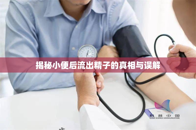 揭秘小便后流出精子的真相與誤解