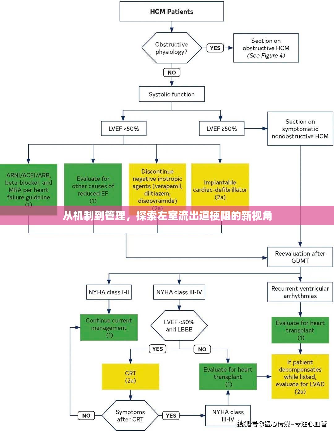 從機制到管理，探索左室流出道梗阻的新視角