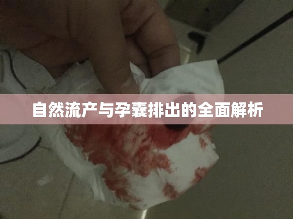 自然流產(chǎn)與孕囊排出的全面解析