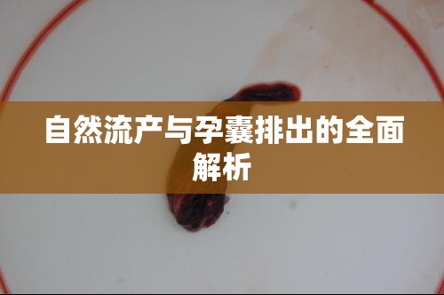 自然流產(chǎn)與孕囊排出的全面解析