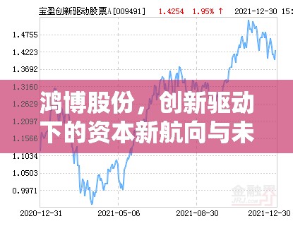 鴻博股份，創(chuàng)新驅(qū)動(dòng)下的資本新航向與未來(lái)展望