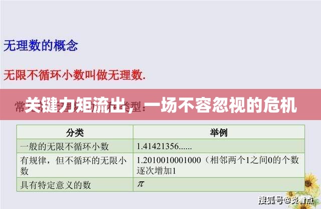 關(guān)鍵力矩流出，一場(chǎng)不容忽視的危機(jī)