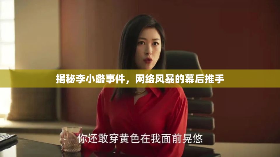 揭秘李小璐事件，網(wǎng)絡(luò)風(fēng)暴的幕后推手