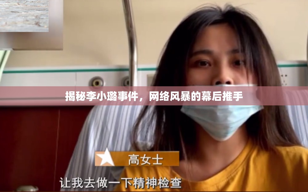 揭秘李小璐事件，網(wǎng)絡(luò)風(fēng)暴的幕后推手