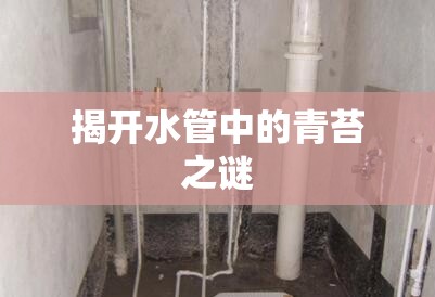 揭開(kāi)水管中的青苔之謎