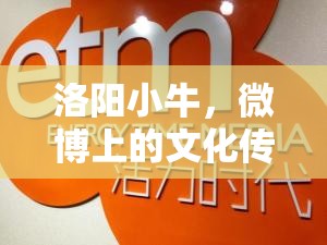 洛陽小牛，微博上的文化傳播使者