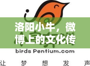 洛陽小牛，微博上的文化傳播使者