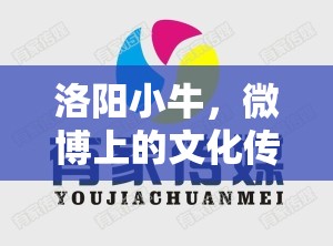 洛陽小牛，微博上的文化傳播使者