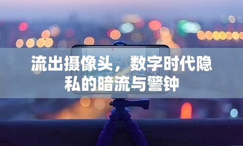流出攝像頭，數(shù)字時代隱私的暗流與警鐘