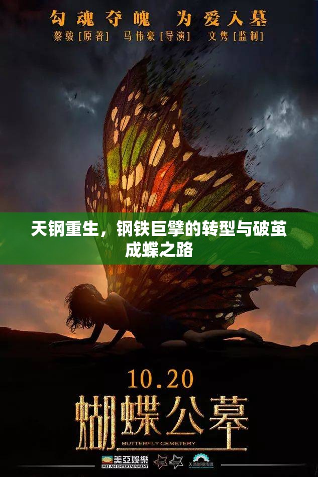 天鋼重生，鋼鐵巨擘的轉(zhuǎn)型與破繭成蝶之路