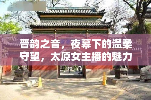 晉韻之音，夜幕下的溫柔守望，太原女主播的魅力綻放
