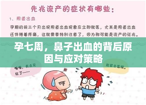 孕七周，鼻子出血的背后原因與應(yīng)對策略