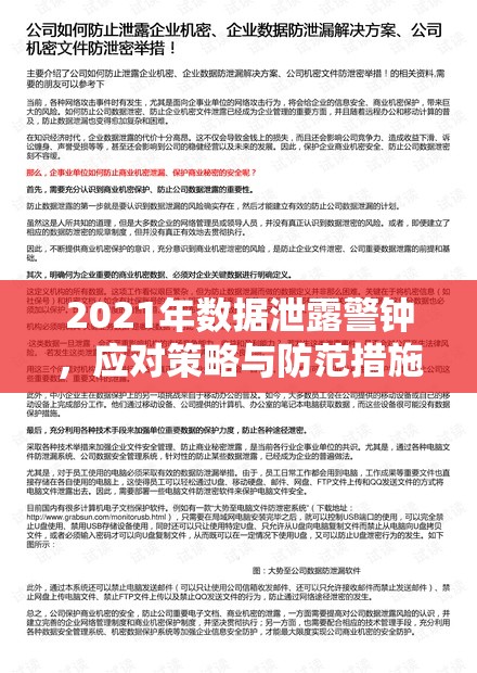 2021年數(shù)據(jù)泄露警鐘，應對策略與防范措施