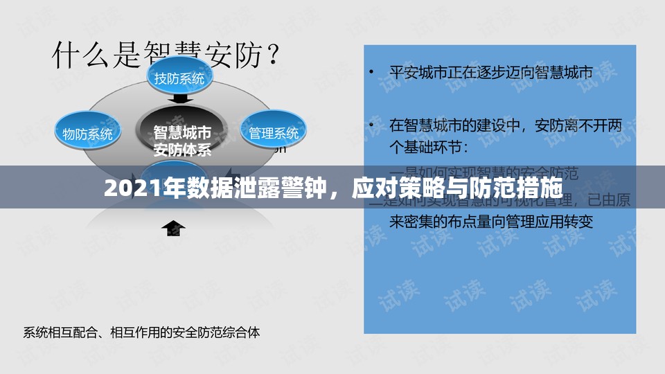 2021年數(shù)據(jù)泄露警鐘，應對策略與防范措施